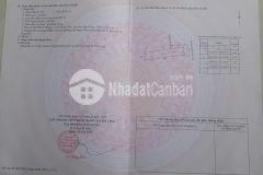 Bán 2 nền thổ cư liền kề đường beton xe hơi xã phước lâm, cần giuộc dt 125m2 giá 1,3 tỷ lô