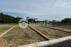 Giá chỉ 195 triệu cơ hội giữ tiền hiếm