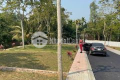 Hot đất kim bôi chỉ 3xx triệu