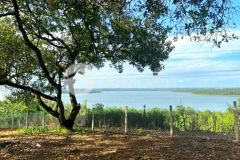 Còn vài lô cuối đất vườn view hồ trị an 1200m² chỉ 995 triệu