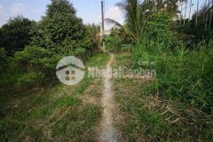 Bán đất phường an bình tpct. diện tích đất 4.425 m2 có 425m2 ont