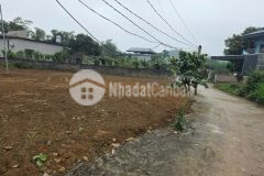 3xx triệu có ngay lô đất trung tâm thị trấn