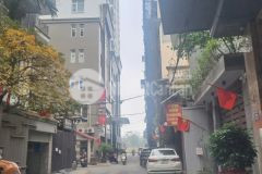 Đất vị trí vàng phố kim mã 178m2 mặt tiền 11m kinh doanh giá 91 tỷ gần hồ ngọc khánh