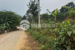 Mảnh đất vuông vắn đầm sản, minh quang, ba vì, hà nội