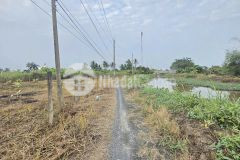 Bán đất 2 mặt tiền xã tân trạch, cần đước dt 1790m2 full thổ giá 17 tỷ