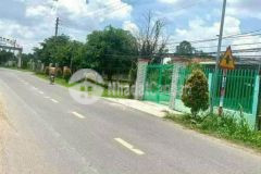 Bán nhà sân rộng mặt tiền đường giồng lớn,đức hòa thượng dt 432m2 full thổ 3pn,2wc giá 4,5 tỷ