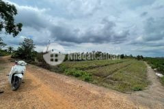 Bán đất vườn ấp 10, lương hòa, bến lức mặt tiền sông vàm cỏ đông dt 4554m2 giá 5,3 tỷ