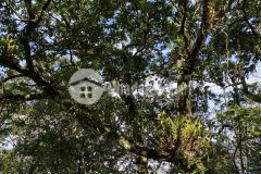 Bán nhà quan nhân 58m² mt8m 8.2 tỷ