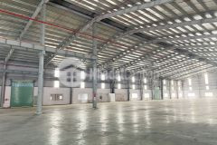 Cho thuê nhà kho 800m² tại cẩm lệ sẵn điện nước giá chỉ 40 triệutháng