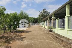 Bán đất diên xuân giá rẻ full thổ cư gần cổng chào thôn xuân tây đường rộng 7m