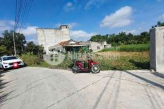 Bán đất thổ cư đường oto beton nhựt chánh dt 1000m2 full thổ giá 3,3 tỷ