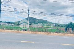 3 héc ta mặt tiền dt724, phú hội cũ, đức trọng, lâm đồng