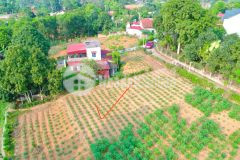 Chưa đến 1 tỷ có ngay 559m2 đất tại đào xá, thanh thủy, phú thọ