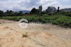 Bán đất sổ riêng xây dựng đường ô tô giá chỉ 2,4 tỷ