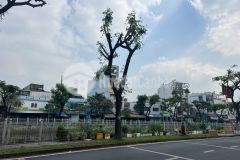 Nhà cực hiếm p2 tân bình sát trường sơn vị trí giữ tài sản cực tốt 62m² nhỉnh 8ty