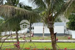 Vì sao dân đầu tư hà nội dạo này hay lặng lẽ về kim bôi hòa bình mà không ồn ào rao bán