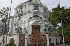 Cực hiếm biệt thự lô góc kđt việt hưng gần trường marie curie 300m2 chỉ 8x tỷ. 0989626116