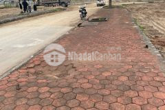 Bán đất khu công nghiệp thuận thành 3 bắc ninh