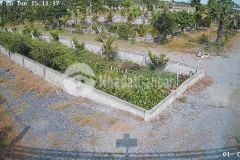 Bán nhà vườn 12.000m2, giá 31 tỷ, kênh 12, xã lê minh xuân bình chánh tphcm