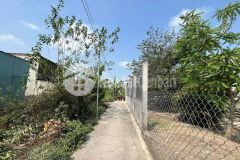 Bán đất thổ cư hẻm số 2 đường trần thế sinh, thị trấn bến lức dt 179m2 giá chốt 1,39 tỷ