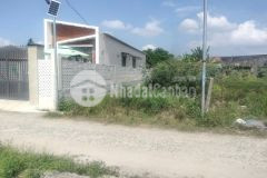 Bán đất diên toàn thôn đông dinh full thổ cư giá rẻ xung quanh dân cư đông