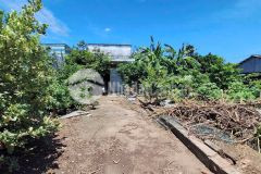 Bán đất tặng nhà cấp 4 hoàn công đt 833 tdt 1916m2 300m2 thổ bình lãng, tân trụ giá 6,5 tỷ