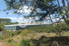 Chủ cần bán gấp 2 lô sổ riêng xây dựng đường ô tô giá 4,7 tỷ