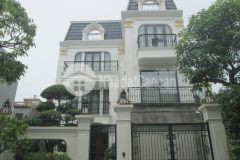 Ngộp bank bán gấp biệt thự kđt geleximco lê trọng tấn gần splendora an khánh 250m2 chỉ 3x tỷ.