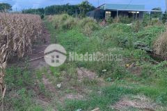 Bán 4761m2 đất xã láng dài, ngay chợ láng dài, huyện đất đỏ bà rịa nay là xã đất đỏ hcm