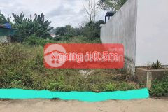 Bán đất diên đồng giá rẻ đường thông ngay trung tâm thôn đồng trăn 1 đường thông gần chợ