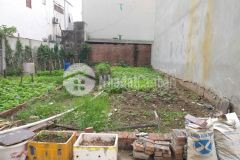 Lô đất đẹp 80,8 m ở đình dù, như quỳnh cần bán, giá tốt 0835459289