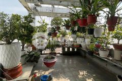 Bán nhà minh phụng, giáp q.11, dt 3.5 x10, vuông đét 35m, giá chill 8,9 tỷ