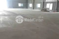 Cho thuê kho xưởng tiêu chuẩn tại kcn trung hà, phú thọ