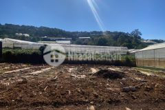 Bán đất sổ riêng xây dựng đường ô tô thái phiên