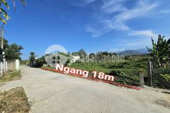 Bán đất diên đồng giá rẻ gần cổng chào thôn đồng trăn 3 đường thông dân cư đông