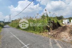 Chính chủ bán quỹ đất dự án 8579m2 mặt tiền trường lưu, long trường quận 9 200tỷ