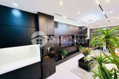 Hoa hậu hbt ngõ thông 5 tầng mới coong cách đường ô tô 10m