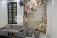 Bán gấp nhà mỹ đình lô góc 2 mặt thoáng ô tô gần nhà