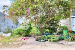 Nền đẹp đường số 10 kdc đông phú, châu thành, cần thơ giá 999tr thương lượng