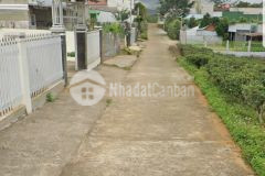 1.200m2 sẵn 400m2 thổ cư hẻm lê phụng hiểu, lộc châu, bảo lộc