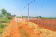 3,6 sào hẻm dh1, tân hội, đức trọng cũ, lâm đồng