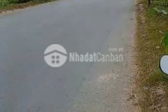 Bán đất mặt tiền đường tân hội, đức lập thượng dt 1000m2 300m2 thổ giá 8,5 tỷ