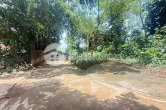 Mảnh đất nghỉ dưỡng giá siêu rẻ giá chốt nhanh chỉ 2,9tỷ