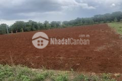 Bán gấp 04 lô đất hắc dịch, phú mỹ, br vt 8,2 x 62 800 triệulô.