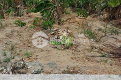 Chính chủ bán đất khu dân cư bà xán dt100m2 shr 21 triệu m2. lh0932234469