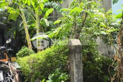 Hiếm đất 80m² hẻm 6m thông nguyễn ảnh thủ. q.12 chỉ 4.6 tỷ