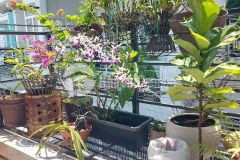 Bán nhà 3 tầng tây thạnh tân phú chỉ nhỉnh 6,6 tỷ nở hậu, 4pn 4wc