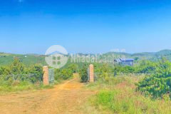 Đất hẻm ql28b, ninh gia, đức trọng cũ, lâm đồng 3,7 héc ta 37.000m2