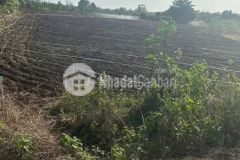 Đất nền đá bạc châu đức bà rịa vũng tàu