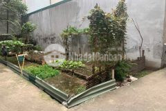 Bán đất phú thượng tây hồ lô góc sát ciputra. 150m mt 5. oto vào đất giá 23.5 tỷ.